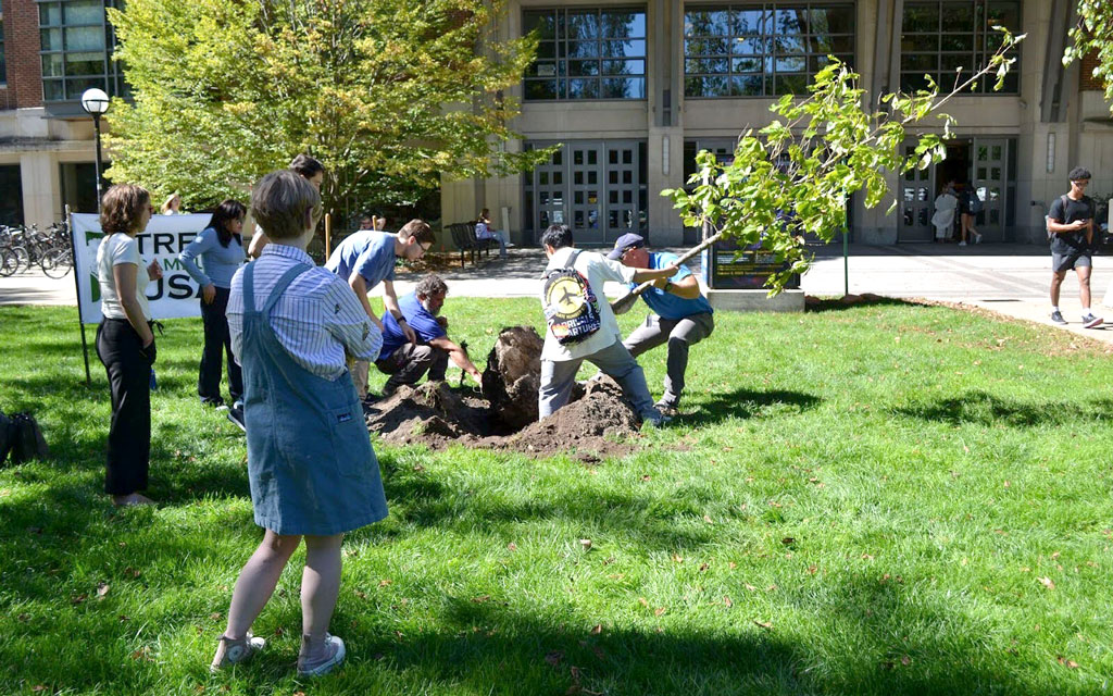 Earthfest-planting